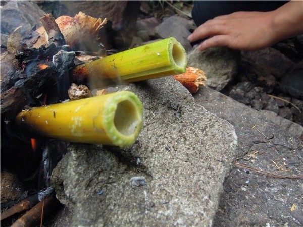 野外求生 竹筒煮水