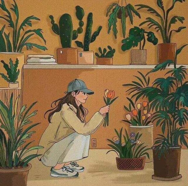 文章图片2