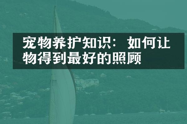  宠物养护知识：如何让宠物得到最好的照顾