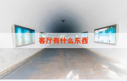 客厅有什么东西