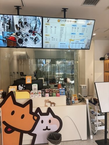 洗个澡能香一个月！养宠人狂喜[呲牙]
