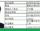 达州市达川区人民法院2024年10月失信被执行