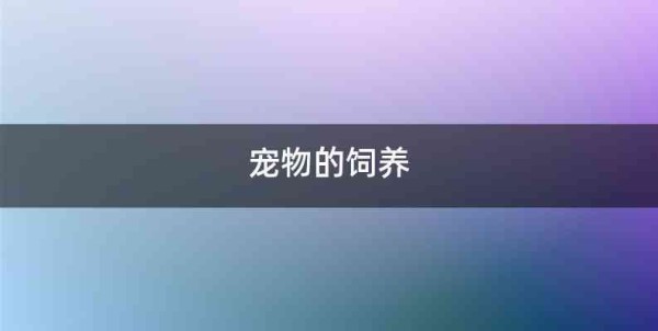 宠物的饲养