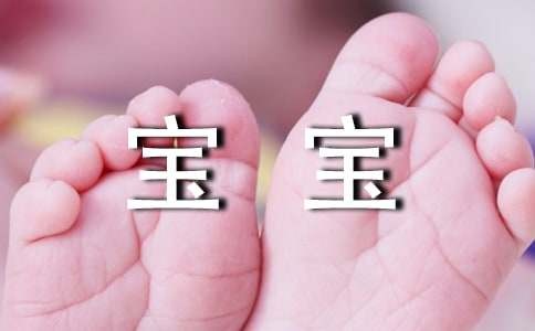 如何给宝宝养宠物及注意事项