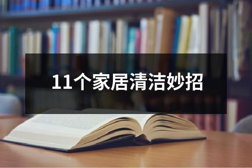11个家居清洁妙招