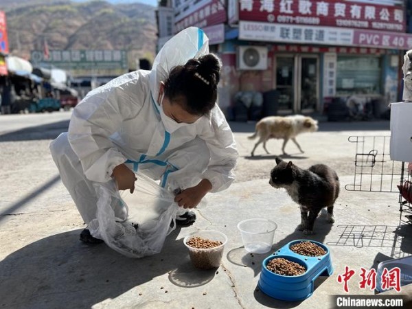 4月20日，志愿者为市场内的流浪动物喂食。 <a target='_blank' href='/'>中新社</a>记者 李江宁 摄