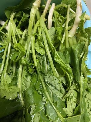 好吃的下饭菜-清炒萝卜菜的做法 步骤1