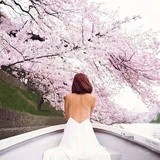 奔跑的猩猩