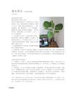 室内植物养护