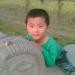 dongziheng0809