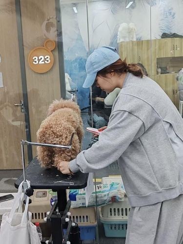 宠物店为什么留不住宠物美容师？真相了！