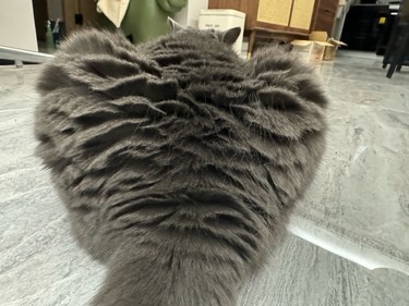 这毛是咋回事