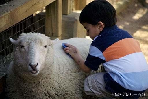 可以让孩子们动手制作的12个简单的节日工艺品！