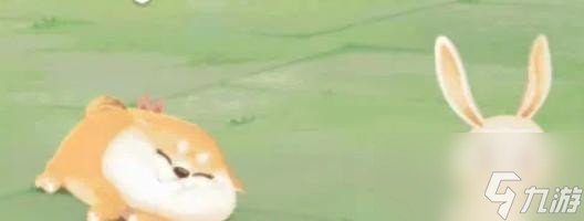向往的生活宠物怎么获得