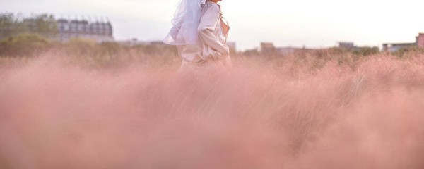 摄图网_500665251_banner_粉黛子花海写真(企业商用)_副本.jpg