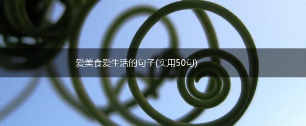 爱美食爱生活的句子(实用50句),第1张