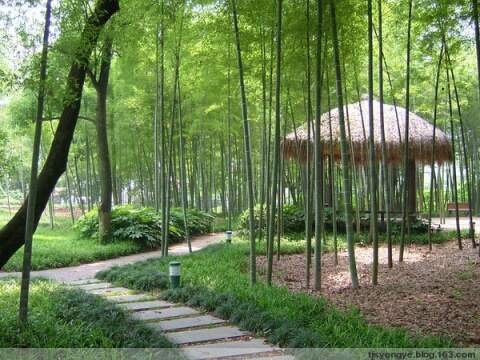 加盟“集结号”吹响啦 - 爱鱼人滨菏农庄 - 爱鱼人滨菏农庄 的博客