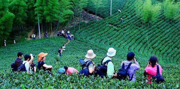  旅通软件,旅游,独自旅游 
