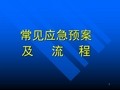 常见应急预案及流程 PPT课件