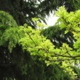 要追寻不要躲避