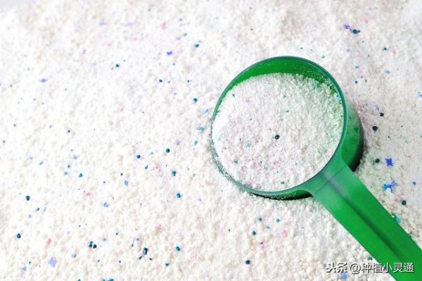 洗衣粉、肥皂、小苏打等生活用品被用作除病杀虫，无公害效果好。