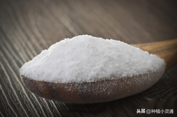 洗衣粉、肥皂、小苏打等生活用品被用作除病杀虫，无公害效果好。