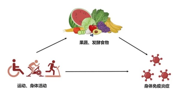 抗衰老最佳生活方式来了！研究发现：做好这3件事，抗衰又延寿！