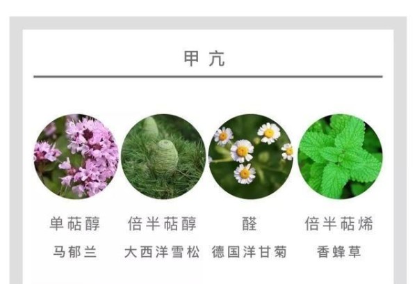 精油生活|芳香疗法调节甲亢的优势
