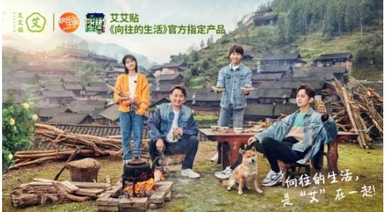 《向往的生活》官方指定产品：艾艾贴用绿色健康，守护向往的生活