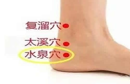 水泉穴的功效作用