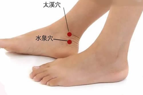 水泉穴的准确穴位图