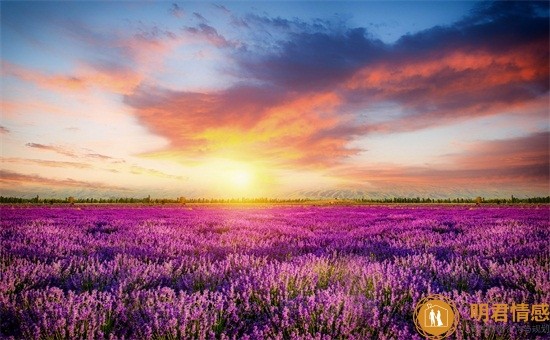 3种情感交流的方式,让夫妻关系更和谐