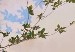 搜索别人的抖音别人知道吗