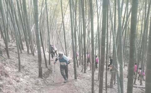 登山让生活更美好作文（精选33篇）