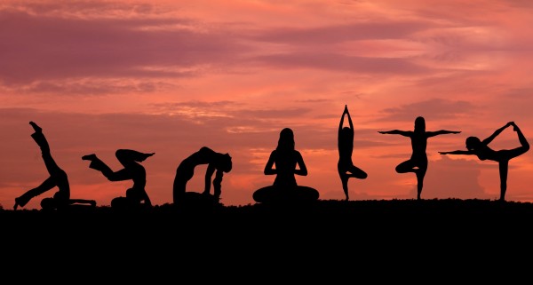 瑜伽八支分法 Yoga Eight Branch Method