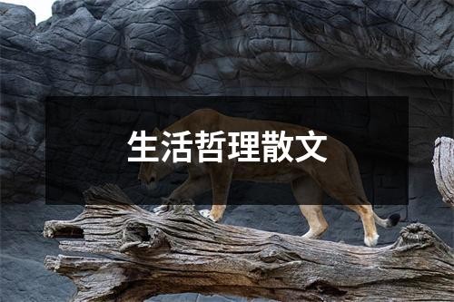 生活哲理散文