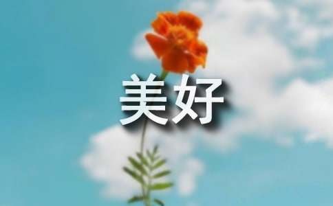 种花让生活更美好作文500字六年级上册（精选54篇）