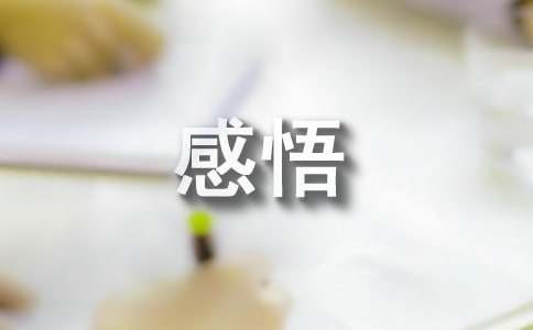 人生的感悟(集锦15篇)