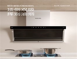 樱花吸油油烟机