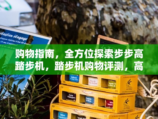 购物指南，全方位探索步步高踏步机，踏步机购物评测，高效健身，家庭锻炼的得力助手