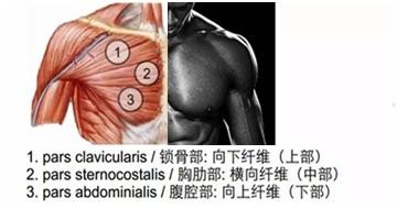 男生健身入门指南