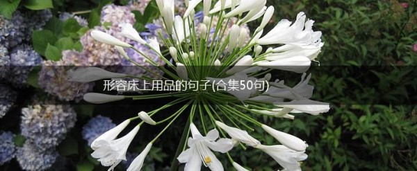 形容床上用品的句子(合集50句),第1张