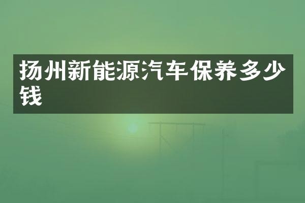 扬州新能源汽车保养多少钱