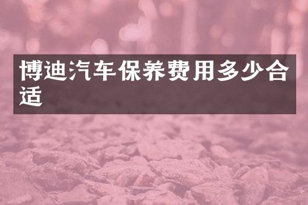 博迪汽车保养费用多少合适