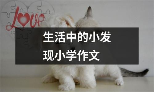 生活中的小发现小学作文