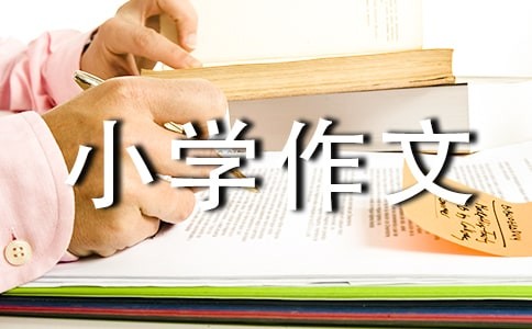 生活中的发现小学作文范文3篇