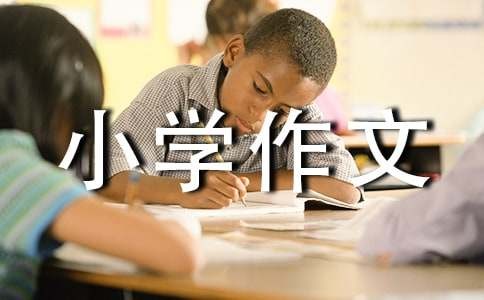 我的小秘密小学作文(精选15篇)