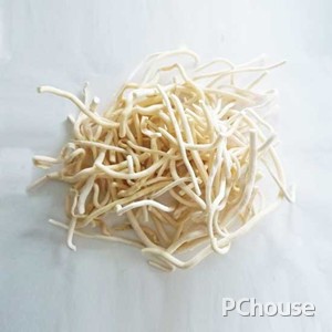 菟丝子的介绍