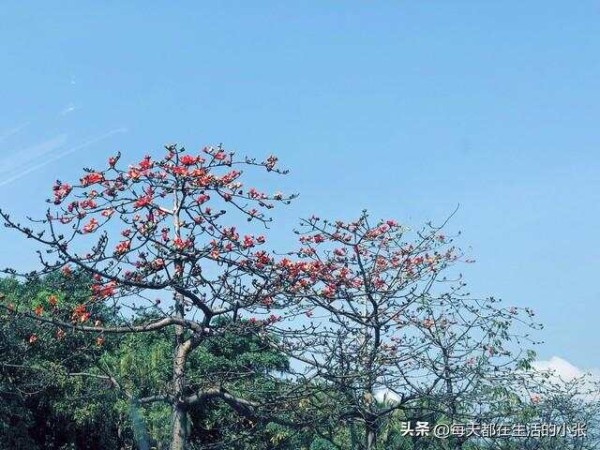 让生活更美好的24个习惯