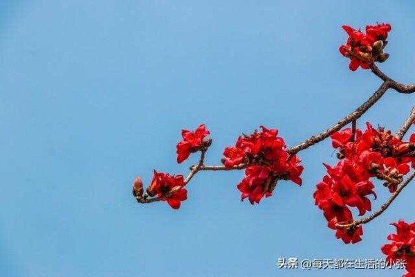 让生活更美好的24个习惯